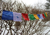 5 Pack Mini Windhorse Prayer Flags