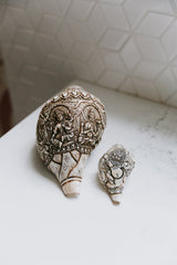 Artisan Etched Conch Shell