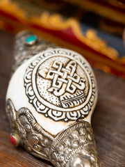 Auspicious Conch Shell