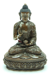 Amoghshiddhi 9 Inch Bronze Statue