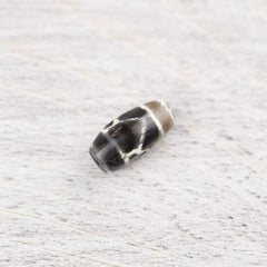 Ancient Longevity Dzi Bead