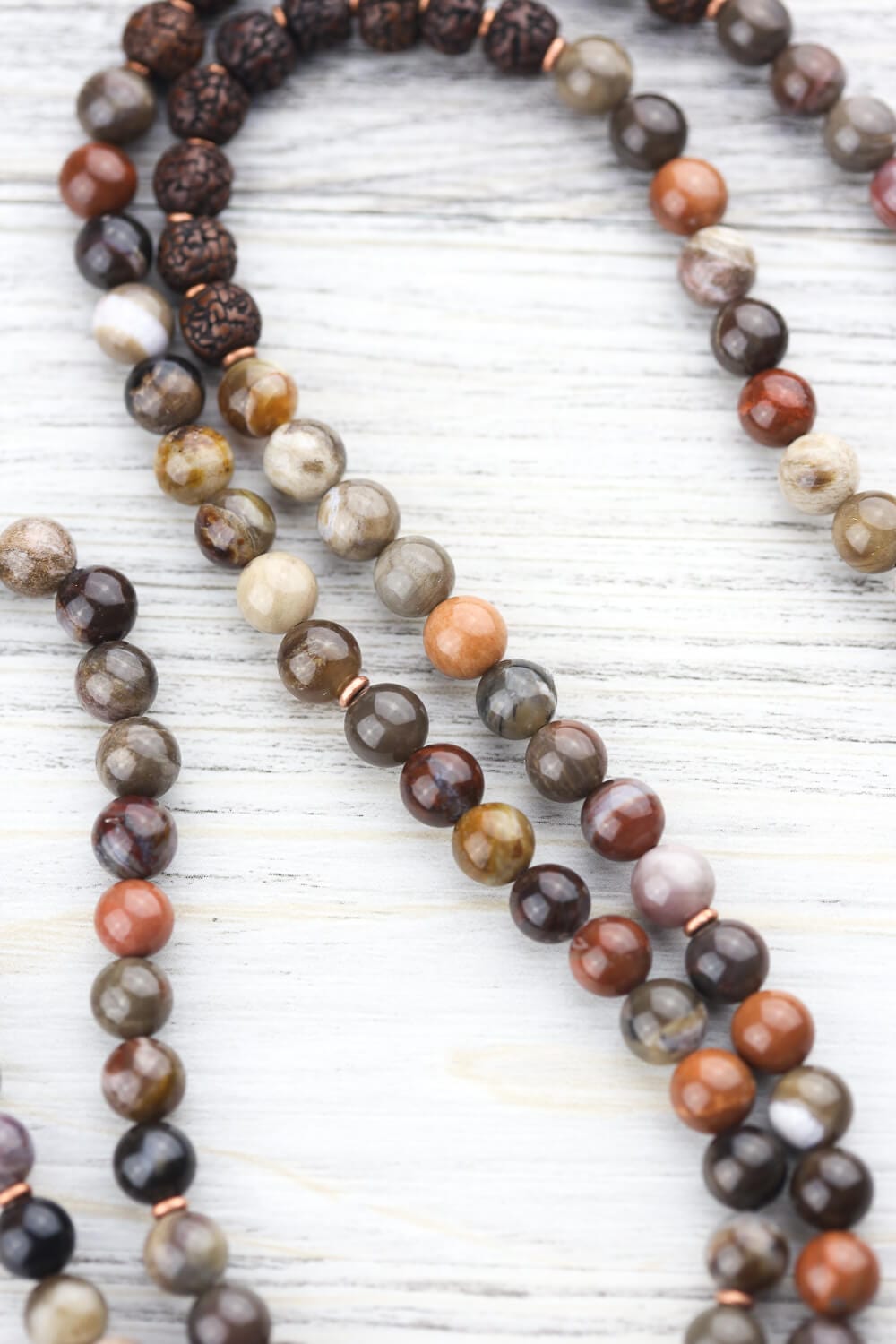 9 Eye Dzi Astrology & Petrified Wood Mala
