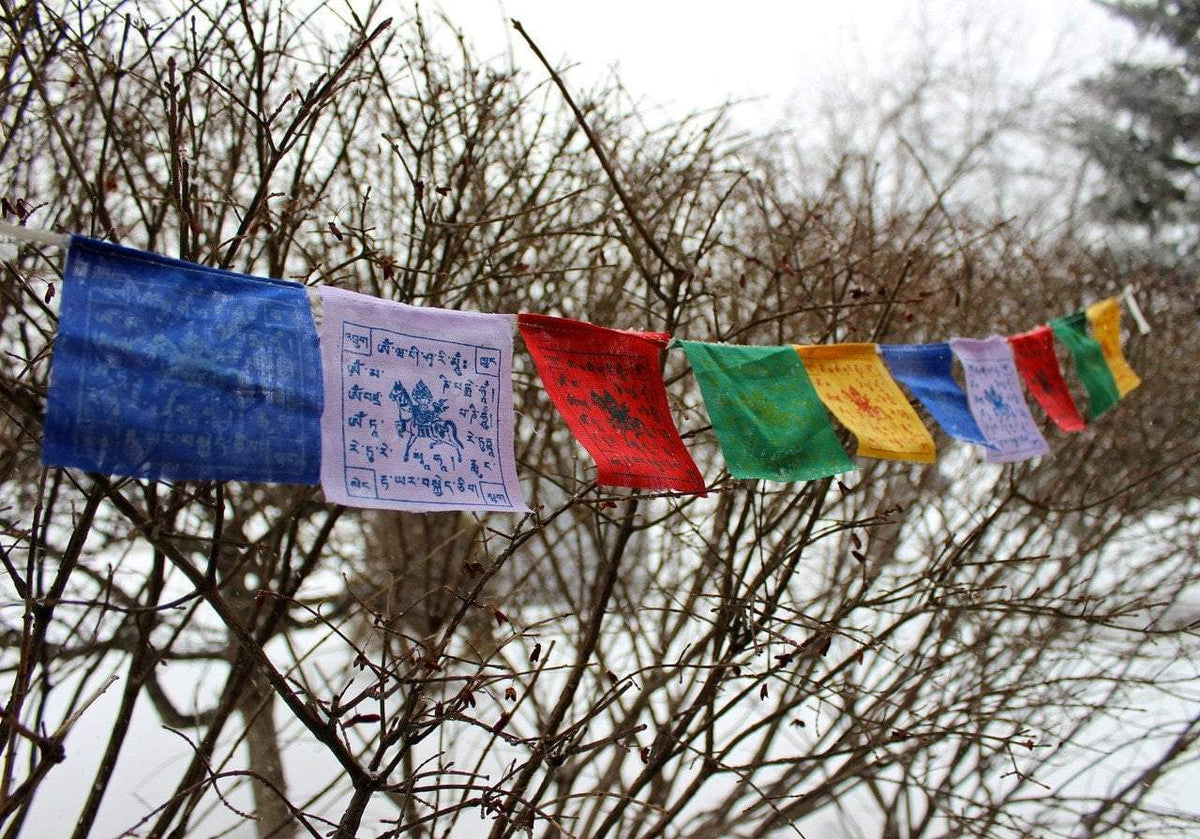 5 Pack Mini Windhorse Prayer Flags