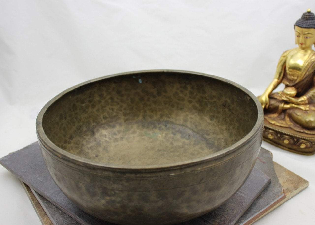 9 inch singing bowl C5 509hz
