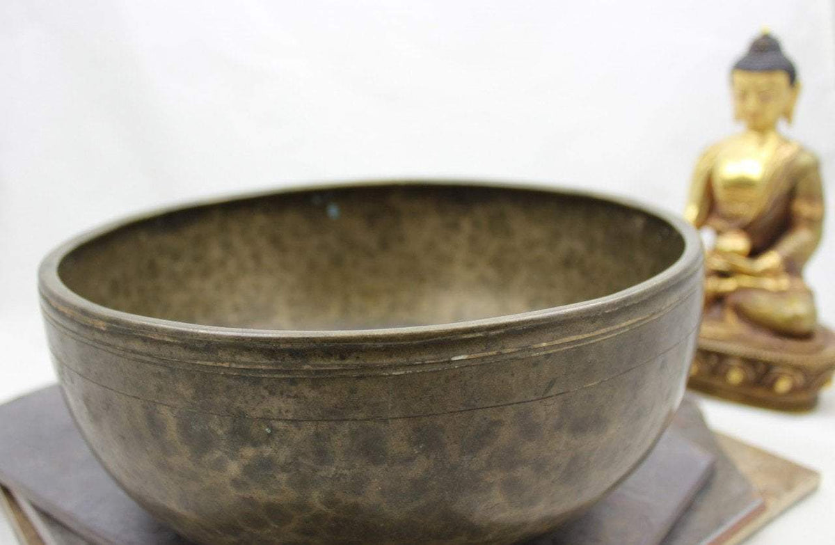 9 inch singing bowl C5 509hz