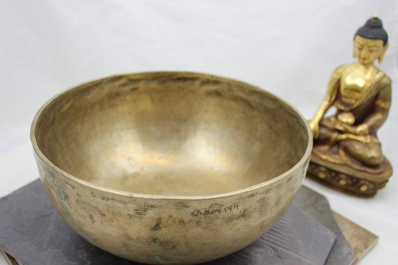 9 Inch Singing Bowl E4 336hz with Artist's Signature