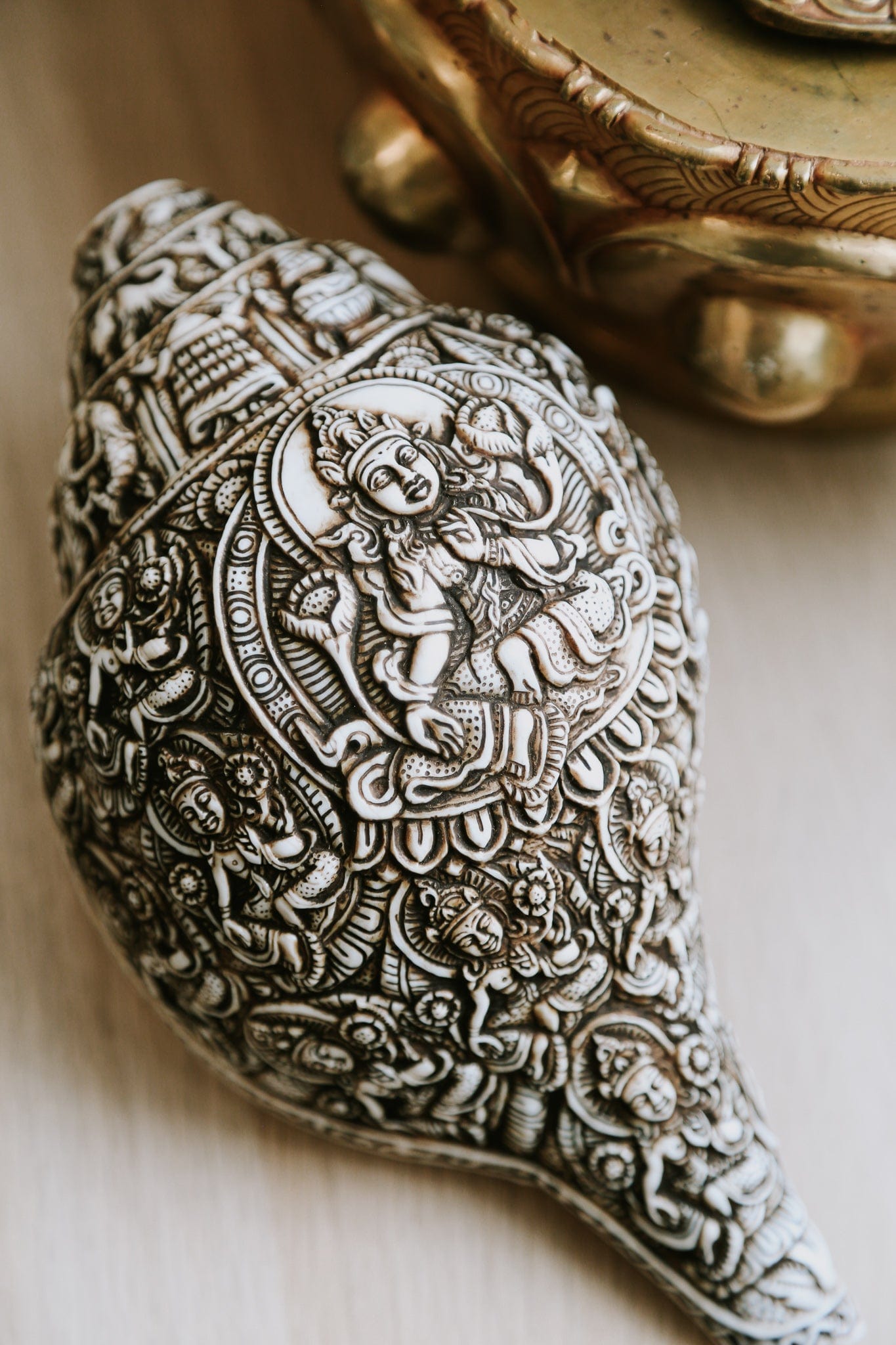Artisan Etched Conch Shell