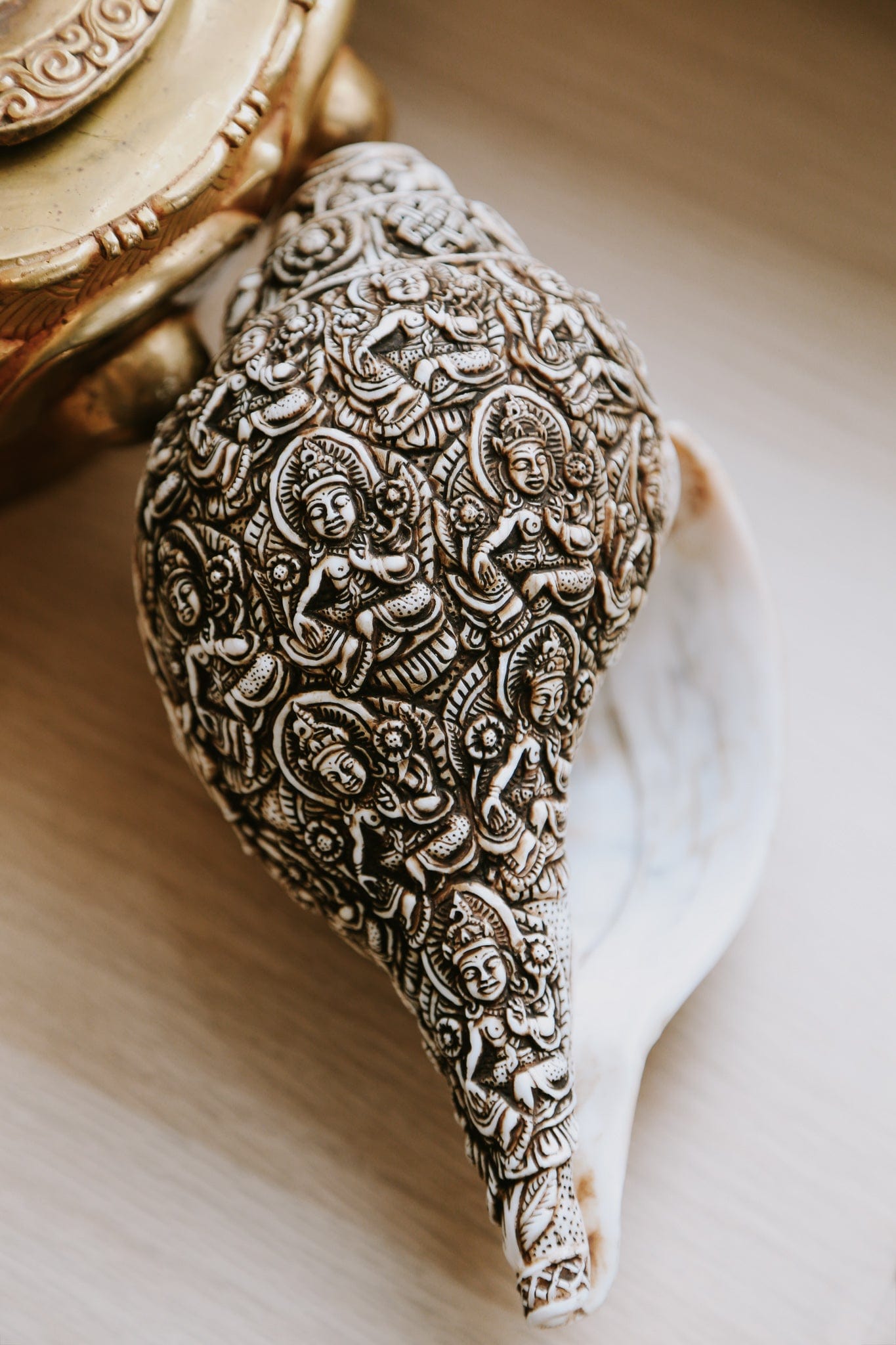 Artisan Etched Conch Shell