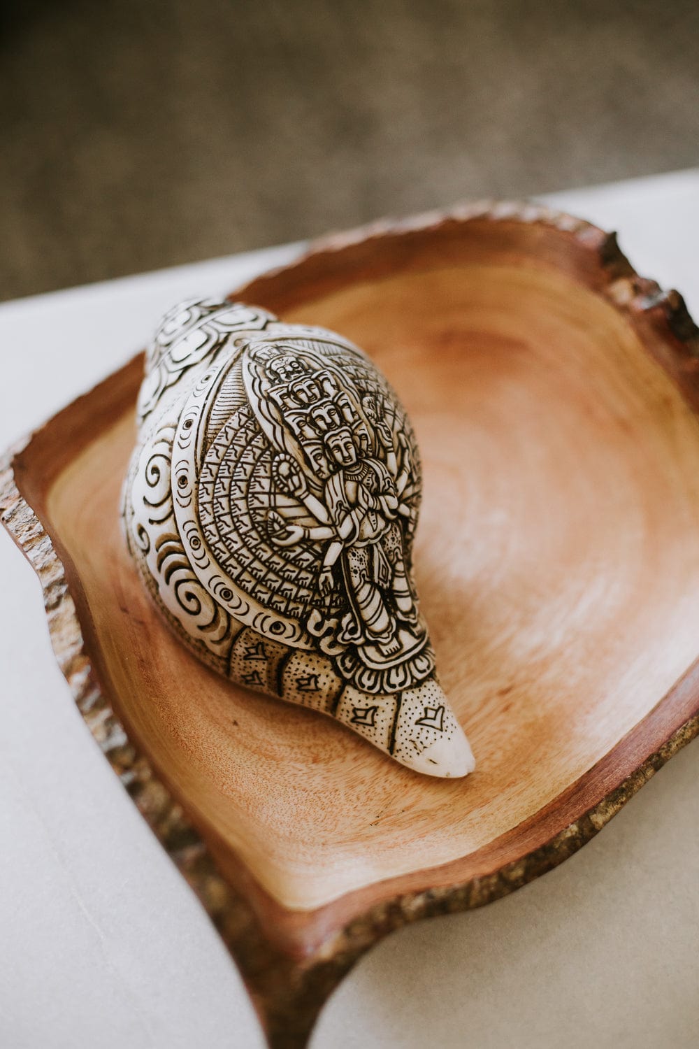 Artisan Etched Conch Shell