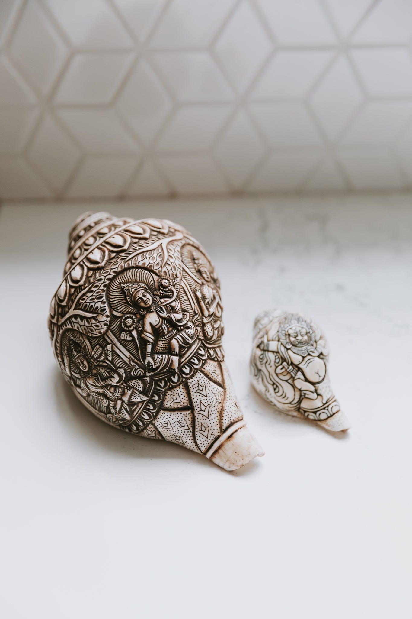 Artisan Etched Conch Shell