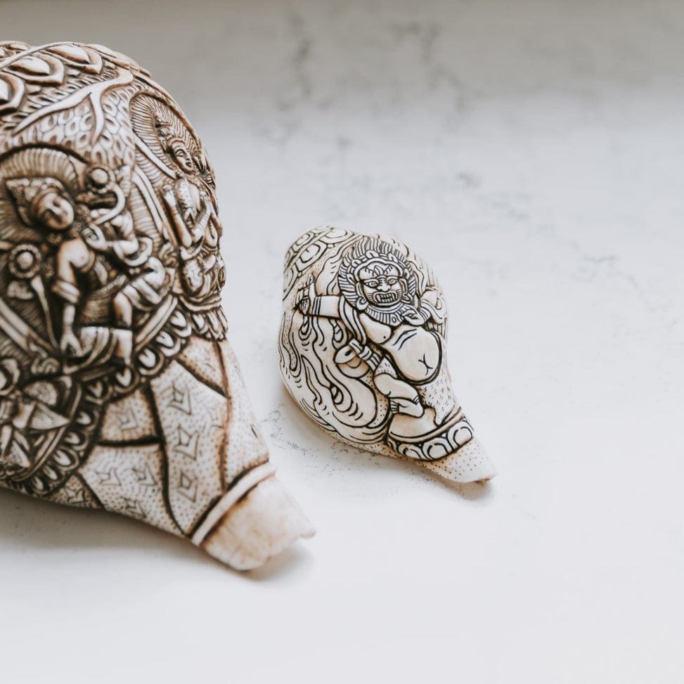 Artisan Etched Conch Shell