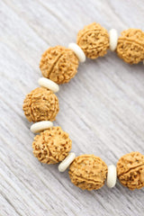 Authentic Himalayan Giant Rudraksha Bracelet